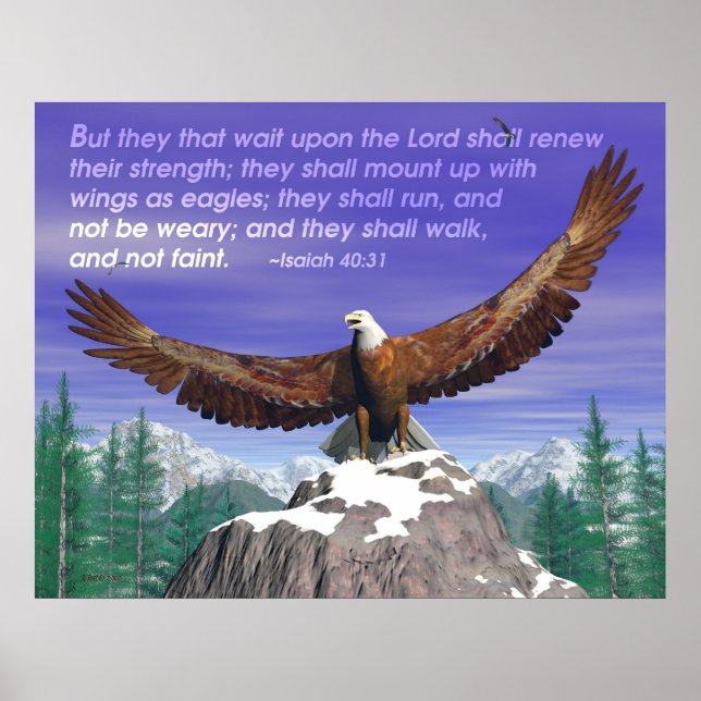 Adler II Poster (Vorne)