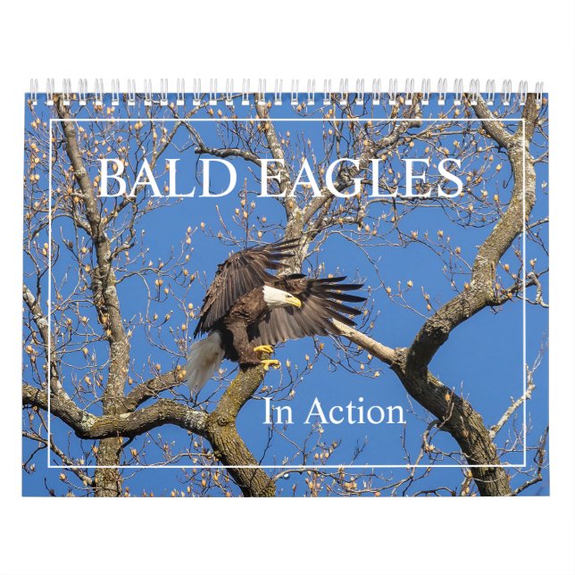 Adler im Aktionskalender Kalender (Titelbild)