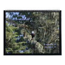 Adler im Alaska-II-Kalender