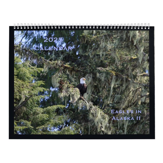 Adler im Alaska-II-Kalender Kalender (Titelbild)