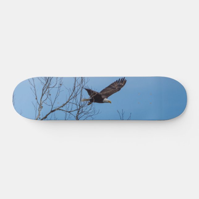 Adler im Flight Skateboard (Horizontal)