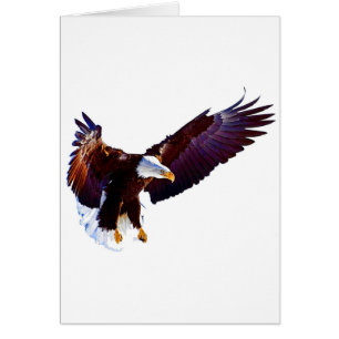 Adler im Flug