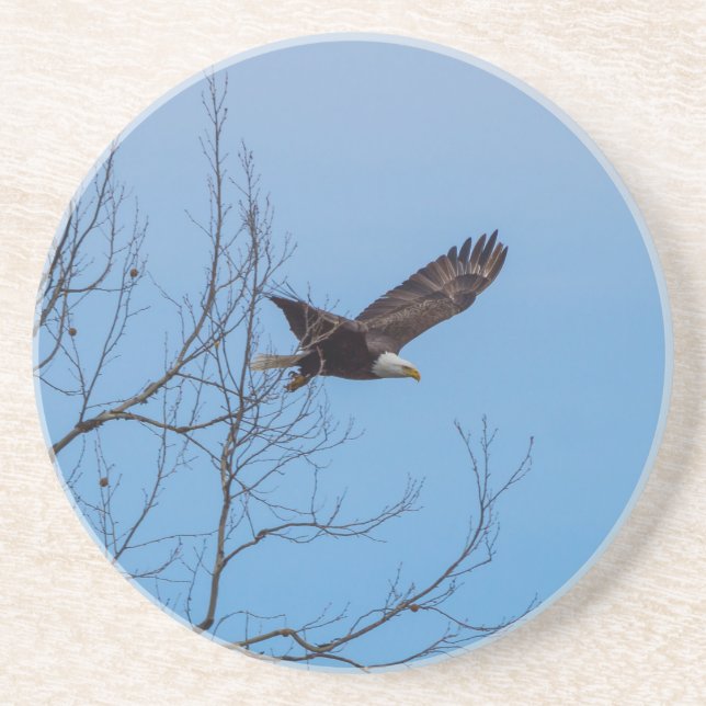 Adler im Flug Getränkeuntersetzer (Vorne)