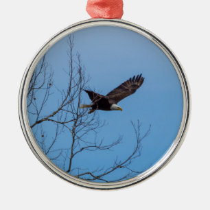 Adler im Flug Ornament Aus Metall