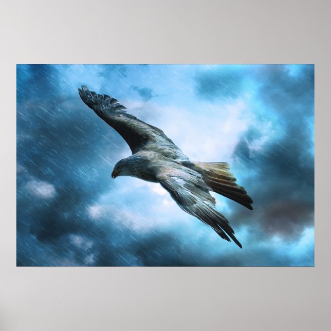 Adler im Flug Poster (Vorne)