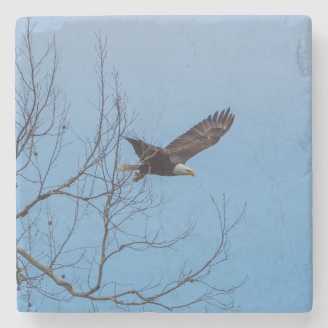 Adler im Flug Steinuntersetzer (Vorderseite)
