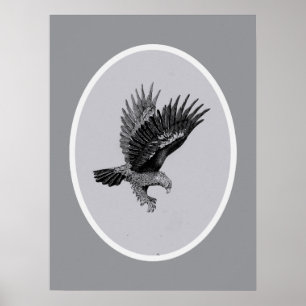 Adler im Licht Poster