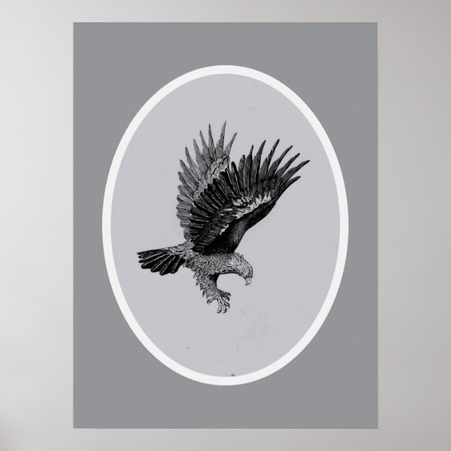 Adler im Licht    Poster (Vorne)