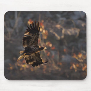 Adler in der goldenen Stunde Mousepad