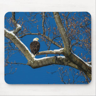 Adler in einem Schneebaum Mousepad