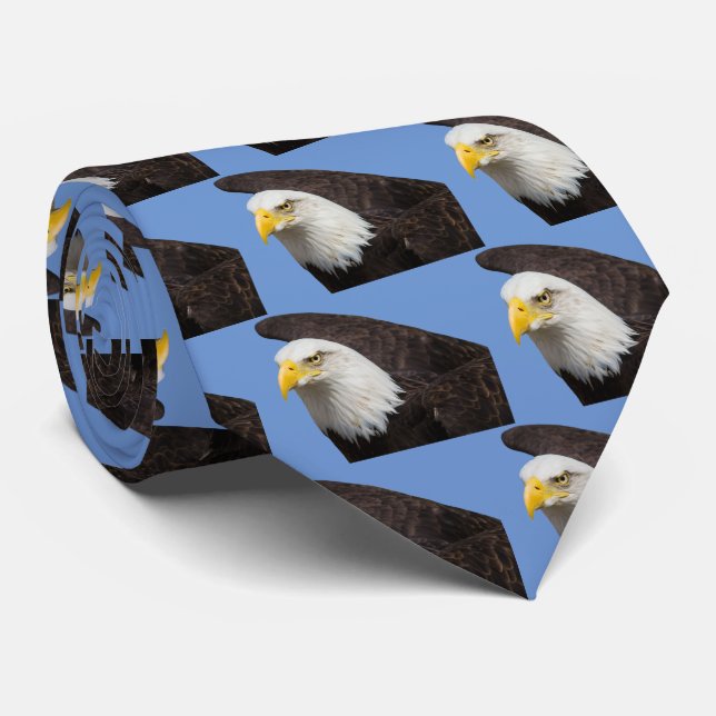 Adler Krawatte (Gerollt)