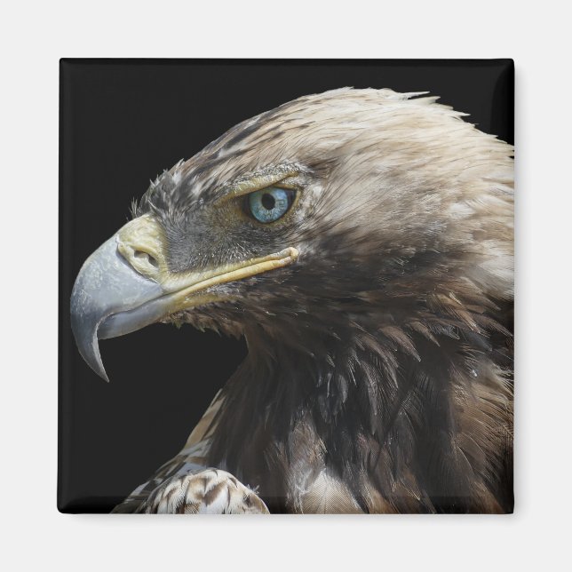 Adler Magnet (Vorne)