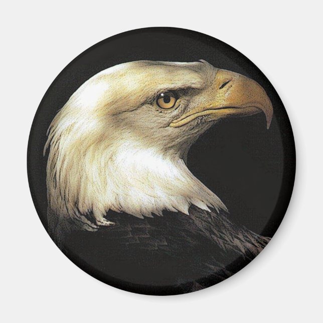 Adler Magnet (Vorne)