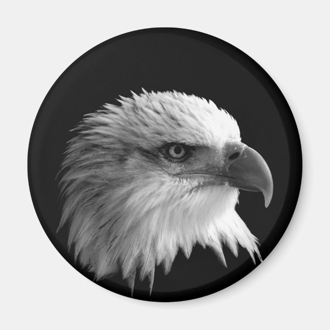 Adler Magnet (Vorne)