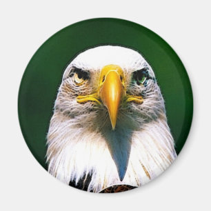 Adler Magnet