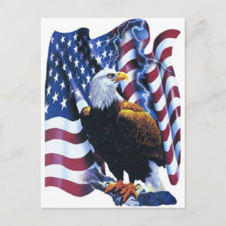 Adler mit amerikanischer Flagge Postkarte
