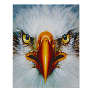 Adler mit vollem Gesicht Poster