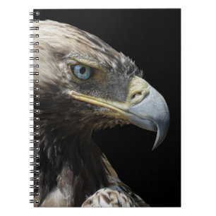 Adler Notizblock