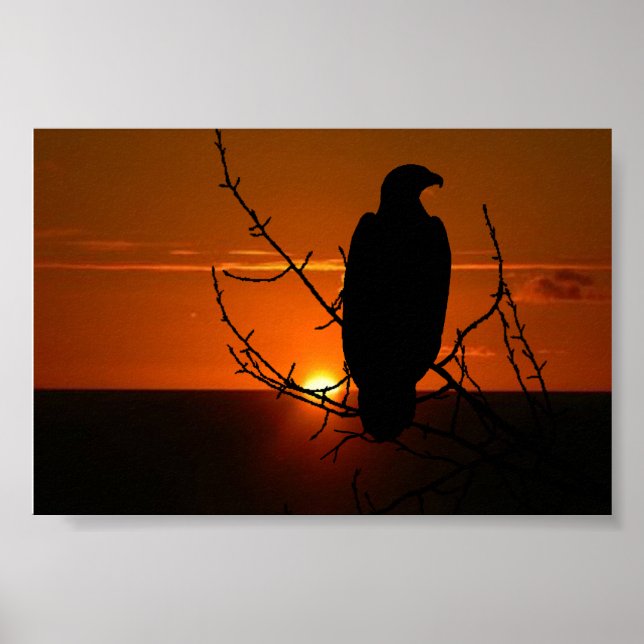 Adler Poster (Vorne)