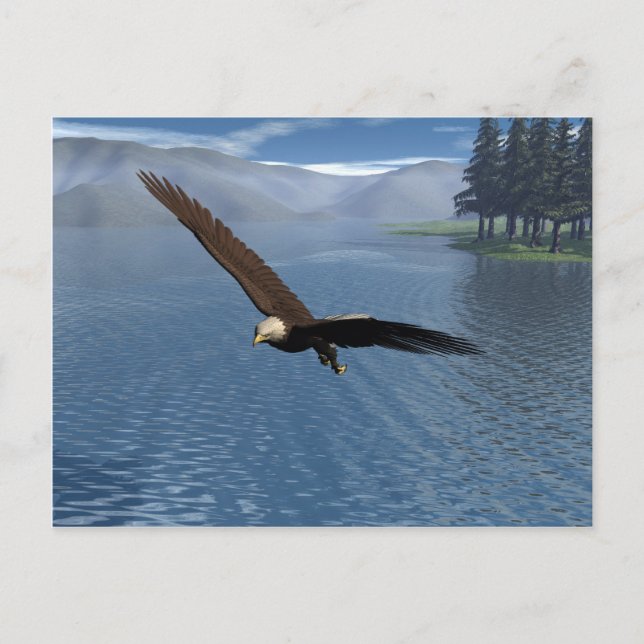 Adler Postkarte (Vorderseite)