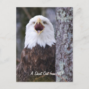 Adler Postkarte