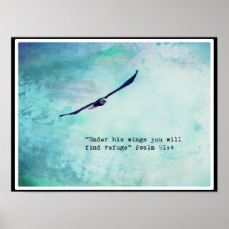 Adler Psalm 91 16" x 12" Poster (Matte)