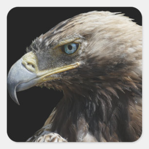 Adler Quadratischer Aufkleber