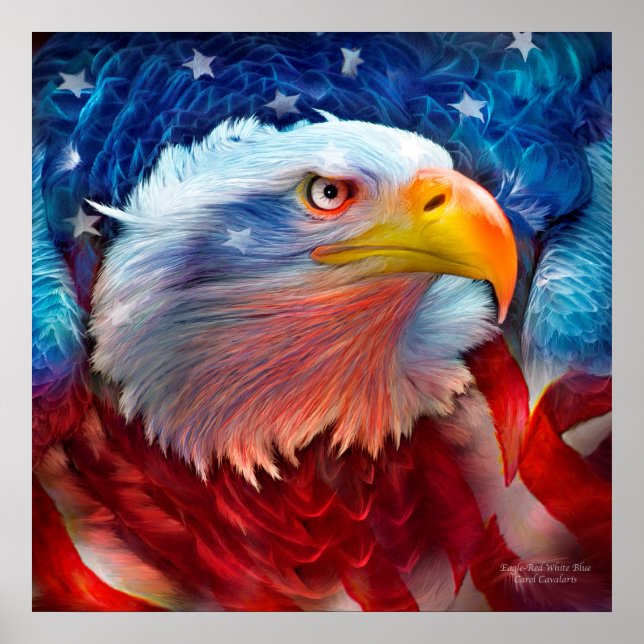 Adler - Red White Blue Fine Art Poster/Print Poster (Vorne)