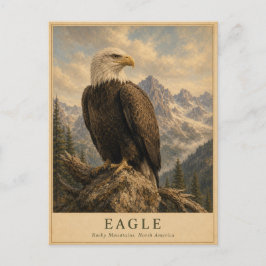 Adler Rocky Mountains VINTAGE Postkarte