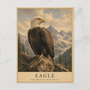 Adler Rocky Mountains VINTAGE Postkarte