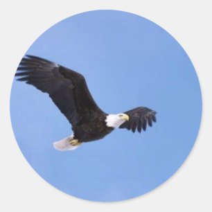 Adler Runder Aufkleber