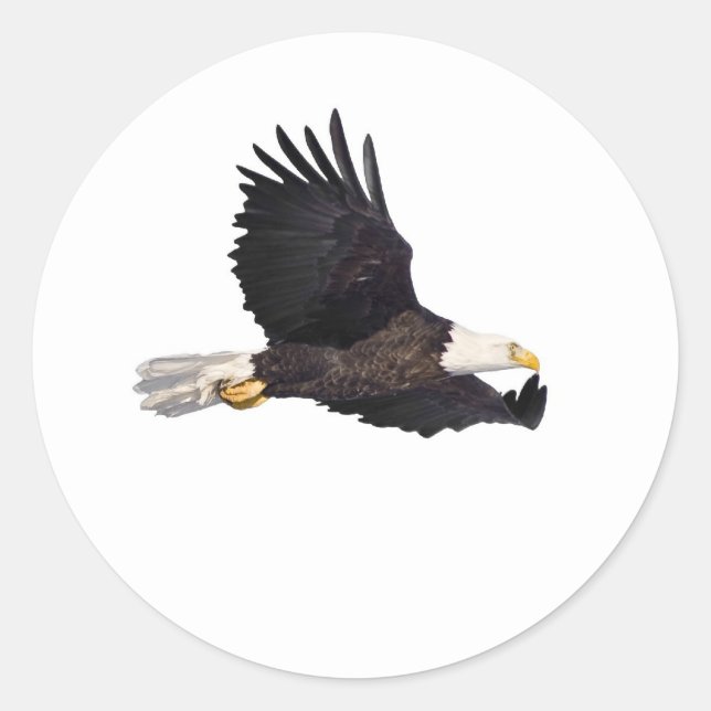 Adler Runder Aufkleber (Vorderseite)