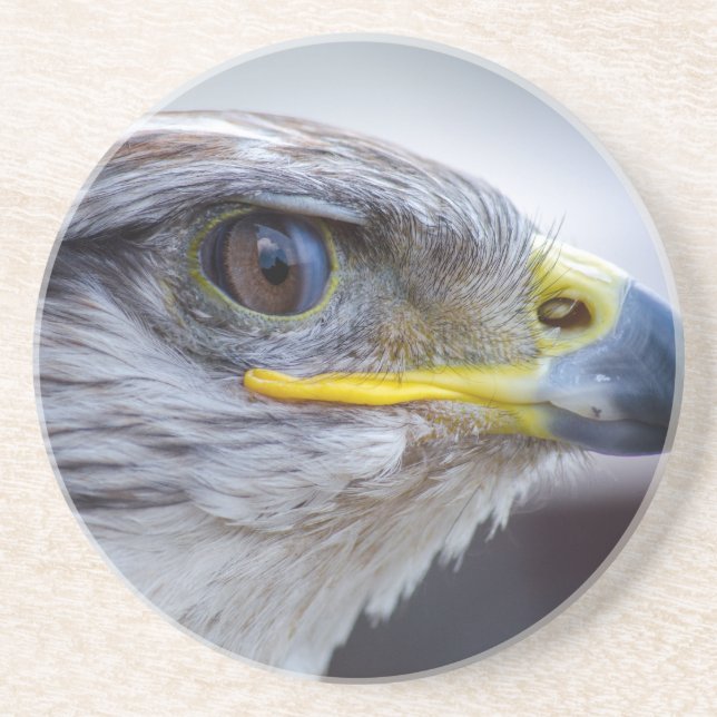 Adler Sandstein Untersetzer (Vorne)