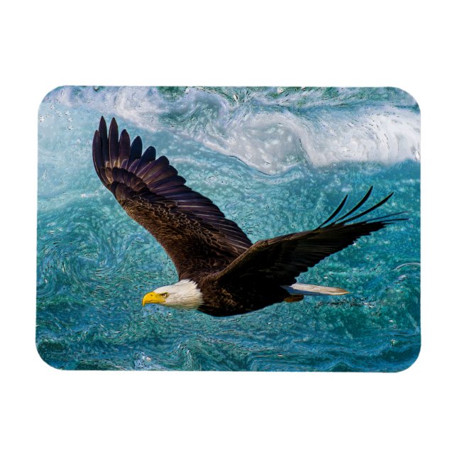 Adler über dem Sturm Magnet (Horizontal)