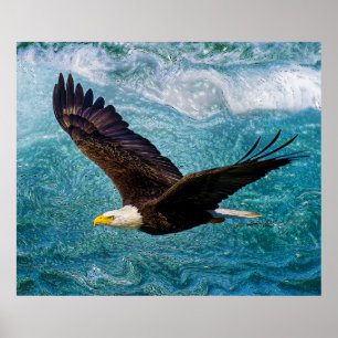 Adler über dem Sturm Poster