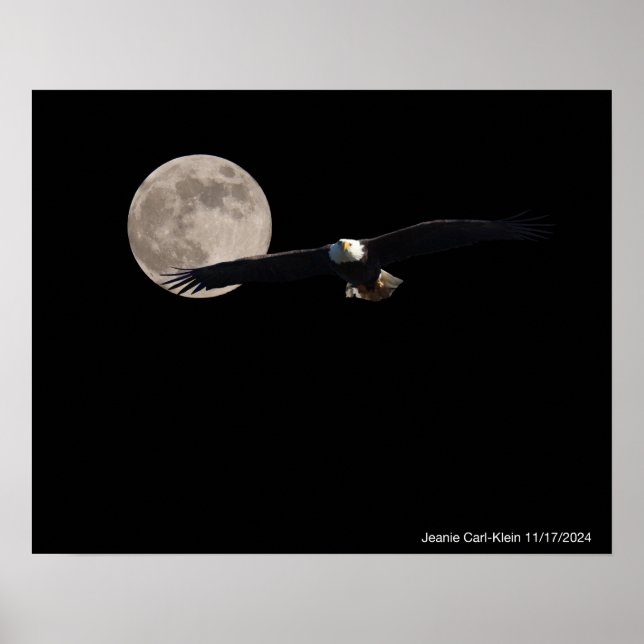 Adler über den Mond Poster (Vorne)
