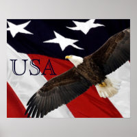 Adler und amerikanische Flagge