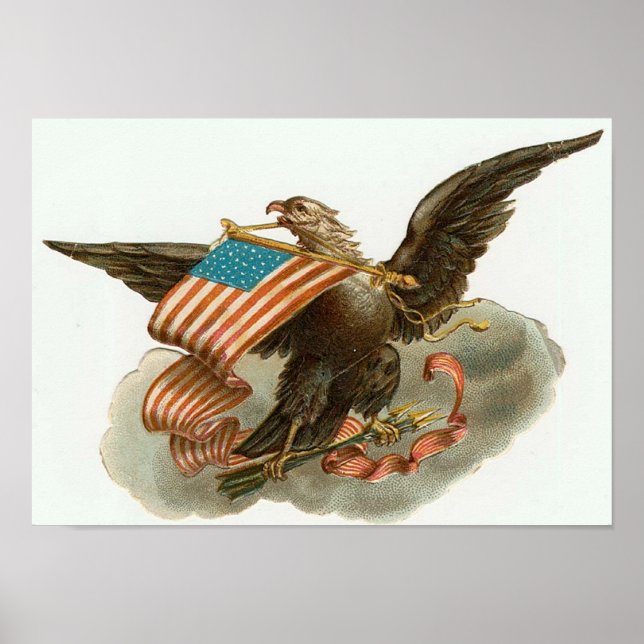 Adler und Flagge Poster (Vorne)