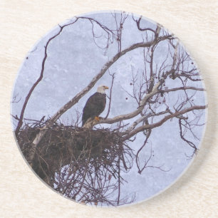 Adler Und Nest Malerisch Sandstein Untersetzer