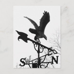 Adler und Pfeil Postkarte