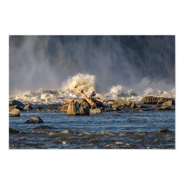 Adler und raues Wasser Fotodruck (Vorne)