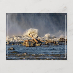 Adler und raues Wasser Postkarte