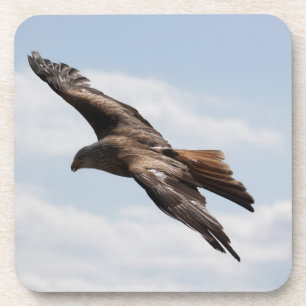 Adler Untersetzer
