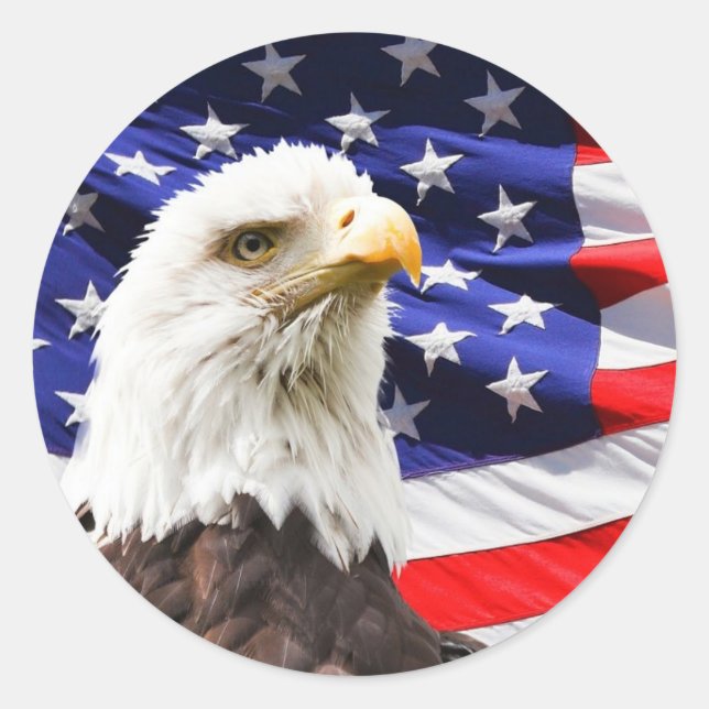 Adler Usa Aufkleber (Vorderseite)