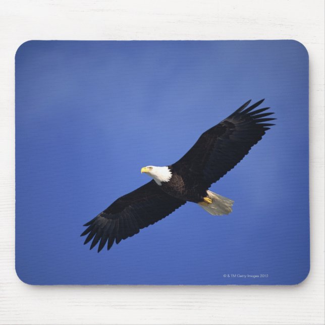 Adlerbarsch in die Höhe schießen , Alaska Mousepad (Vorne)
