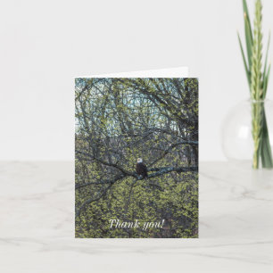 Adlerbewusstsein Karte