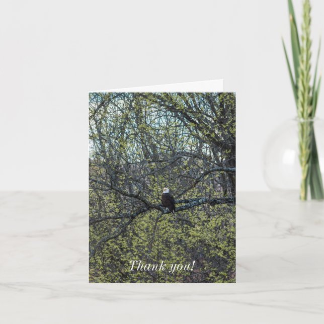 Adlerbewusstsein Karte (Vorderseite)