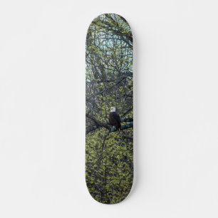 Adlerbewusstsein Skateboard