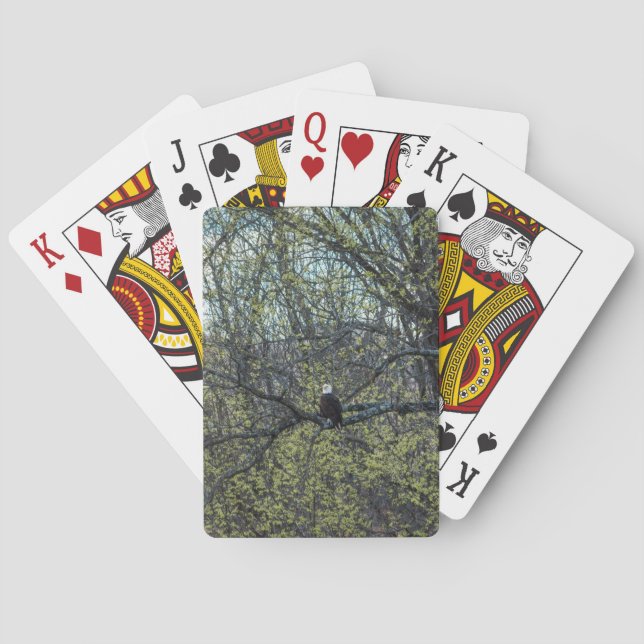 Adlerbewusstsein Spielkarten (Rückseite)
