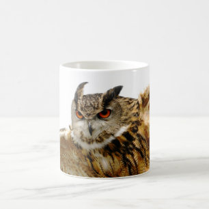 Adlereule in der Flug-Tasse Tasse